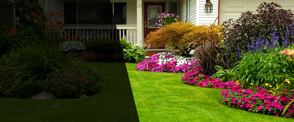 Ortonville Landscapers