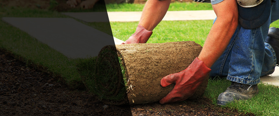 Ortonville Landscapers
